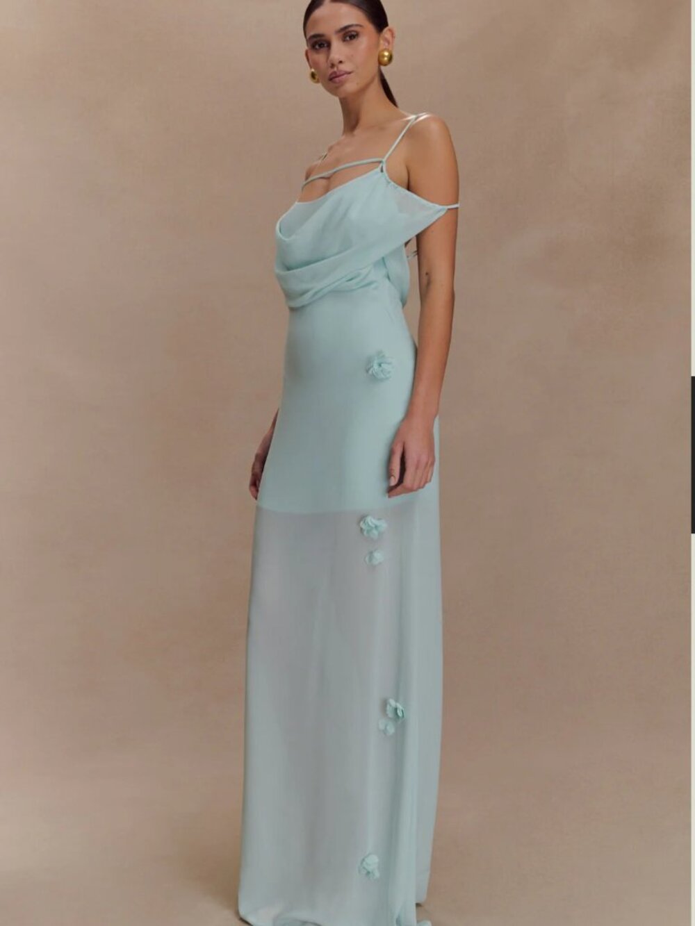 Meshki Rosalie Floral Chiffon Maxi Dress - Picture 4 of 5